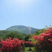 こちらも5月下旬はツツジがきれい