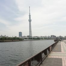 スカイツリー、昼に