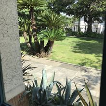窓から庭を望む