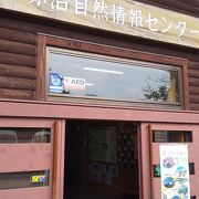 小田代原へのバス乗り場