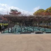 小田原城址公園内の南側の場所にあります。