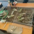 7年ぶりのカキ小屋