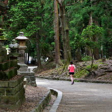 春日大社参道は静かです。