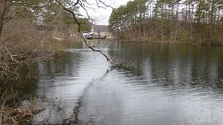 裏磐梯物産館の裏
