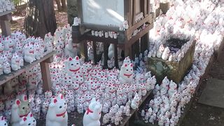 招き猫がたくさんあります