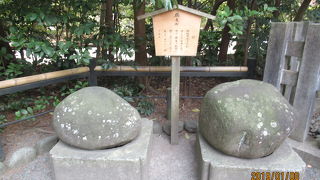 鶴も亀もあまり似ていないようです