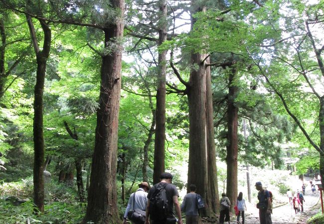 風情があります