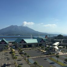 水族館内から桜島の絶景が！