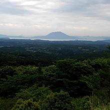 公園からの風景