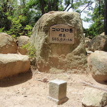 ごろごろ岳山頂