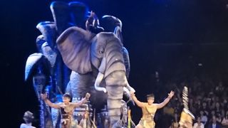 香港で絶対に見るべきショー