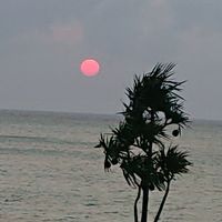 レストランからのサンセット