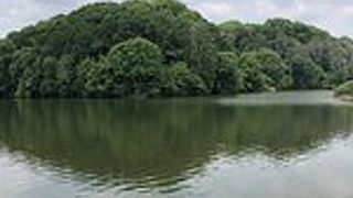 静かでいい雰囲気