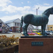 今は亡き日本釧路種