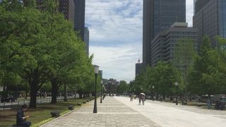 通りの左右には木々