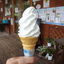 人気の牛乳ソフトクリーム