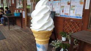 チーズケーキもお薦め！ （北アルプス牧場直営店）