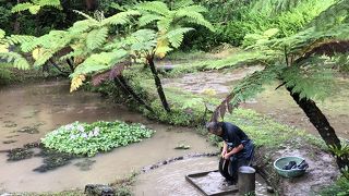 大島紬の製造工程を見られます