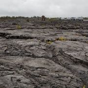 溶岩台地は大迫力でしたが…