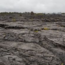 溶岩台地は大迫力でしたが By Polnpoln チェーン オブ クレーターズ ロードのクチコミ フォートラベル 溶岩台地は大迫力でしたが By Polnpoln チェーン オブ クレーターズ ロードのクチコミ フォートラベル