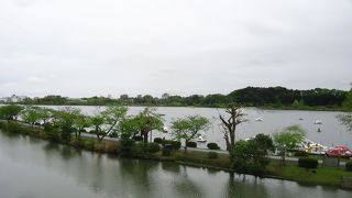 憩いのオアシス