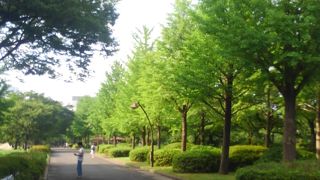 住吉駅近くの大きな公園