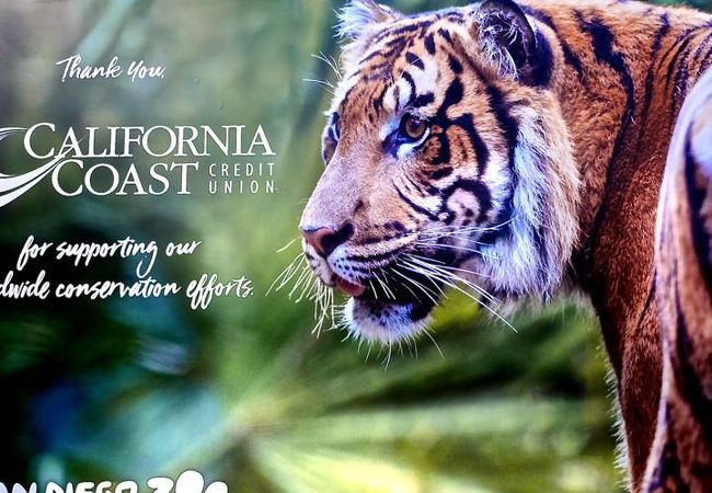 サンディエゴ動物園 クチコミ アクセス 営業時間 サンディエゴ フォートラベル