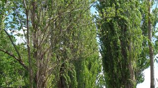 ここが北大のイメージでした。