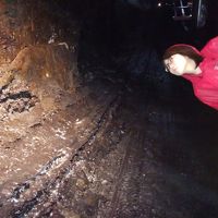 新婚旅行で行ったまんじゃんぐるです