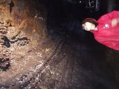 フォー シーズンズ ホテル 写真