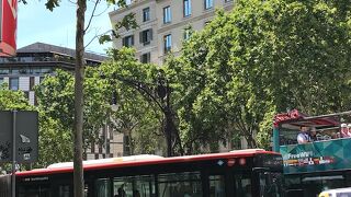 芸術的建物が目白押し