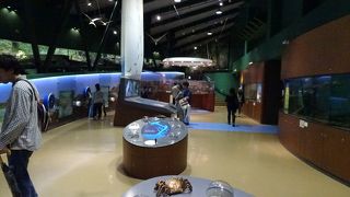 小さいけど迫力ある展示