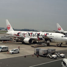 飛行機もよく見えます