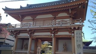 山門が新しくて眩しい