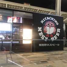 おしゃれな雰囲気