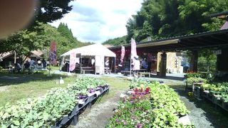 楽しめる道の駅