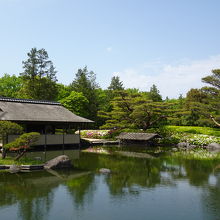 開放的な日本庭園