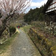 大妻籠から妻籠宿までの旧中山道はのどかな田舎道だった