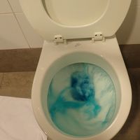 トイレの水は鮮青！