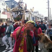 夏の例大祭！お神輿└(ﾟ∀ﾟ└)　(┘ﾟ∀ﾟ)┘