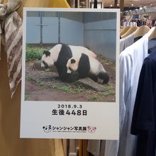 店内のあちこちにパネルが展示されています