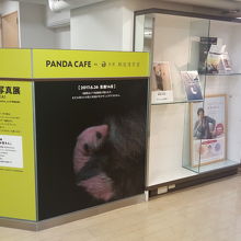 成長の過程を追った特別展です