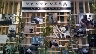 ハッピーパンダフルデイズ