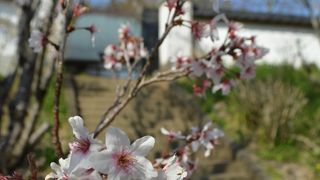 円融寺