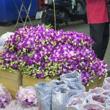 お花がたくさん