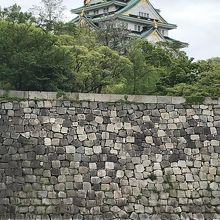 グリーン色が際立って見えた