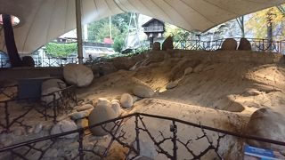 日本語の案内あります