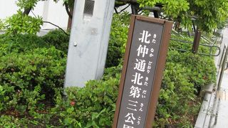 公園と言うよりは