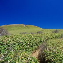 女山頂上が見えた