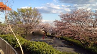 広くはないが見晴らせる場所が